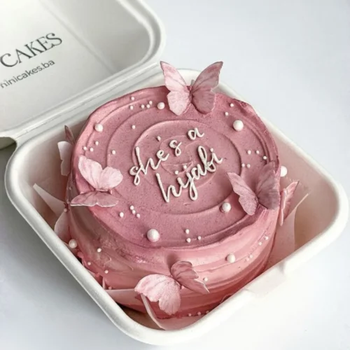 Raspberry Butterfly Bento Cake