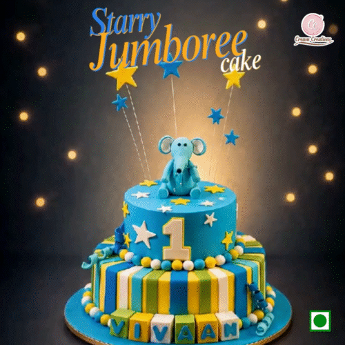 Screenshot 2026-08-21 at 10.09.09 AM Starry Jamboree Cake